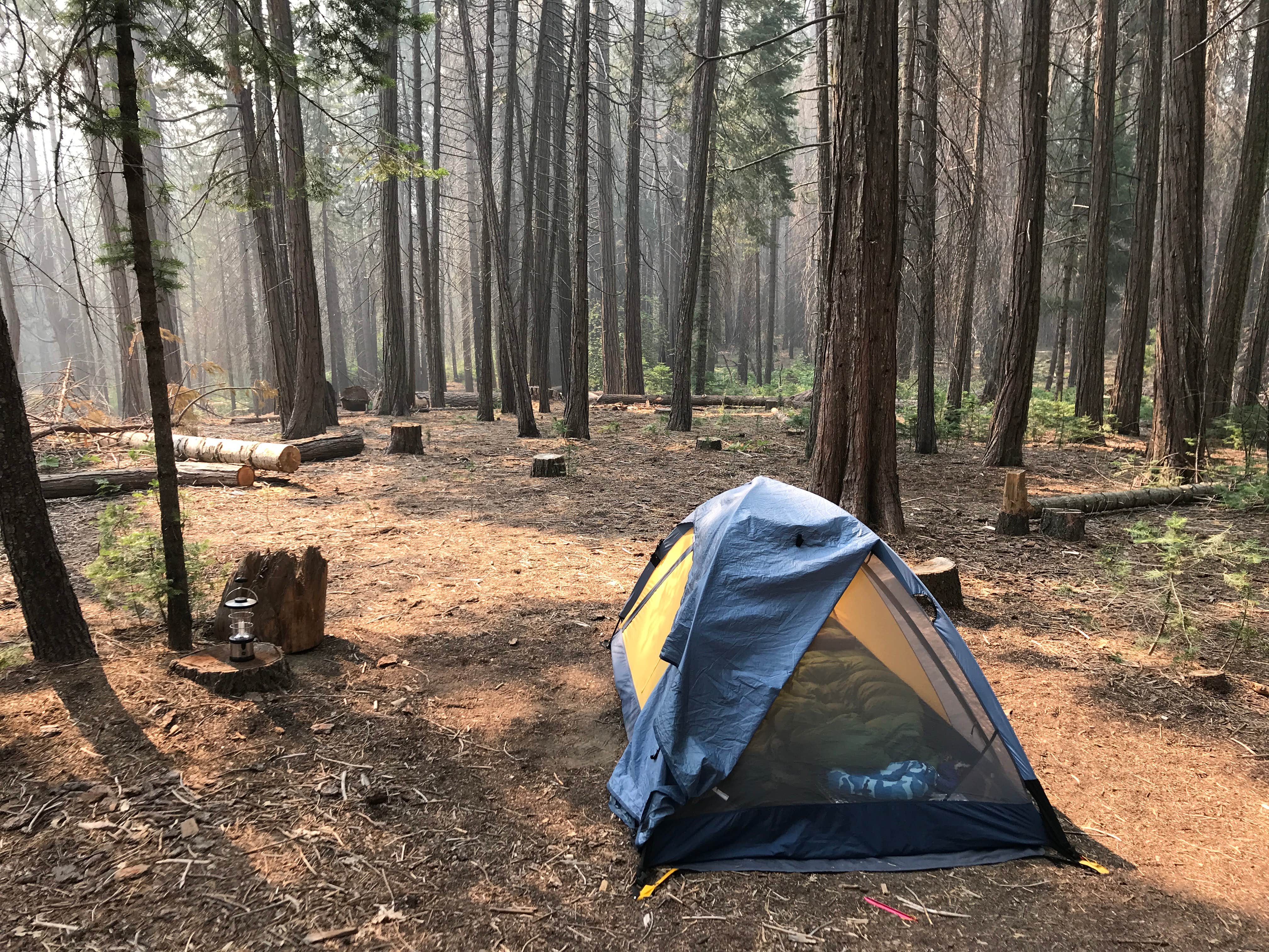 Camper submitted image from Hodgdon Meadow Campground — Yosemite National Park - 1