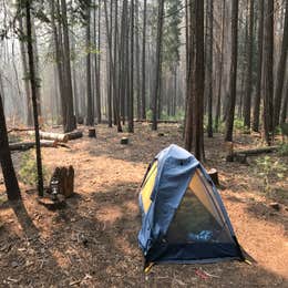 Hodgdon Meadow Campground — Yosemite National Park