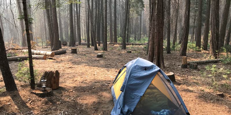 Camper submitted image from Hodgdon Meadow Campground — Yosemite National Park