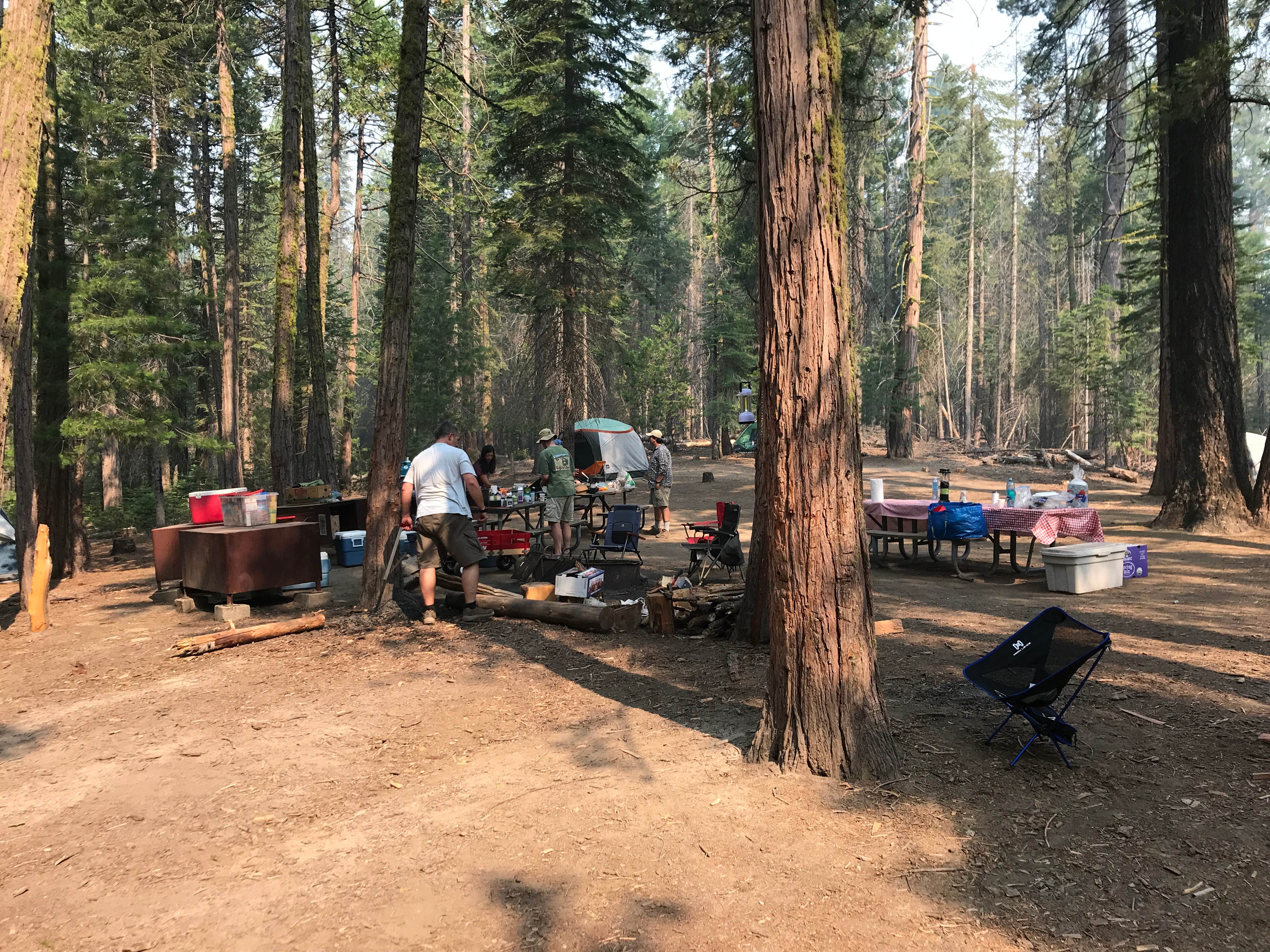 Winnie H.'s photo at Hodgdon Meadow Campground — Yosemite National Park near Midpines, CA