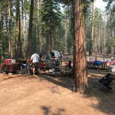 Review photo of Hodgdon Meadow Campground — Yosemite National Park by Winnie H., August 3, 2018