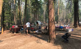 Winnie H.'s photo at Hodgdon Meadow Campground — Yosemite National Park near El Portal, CA