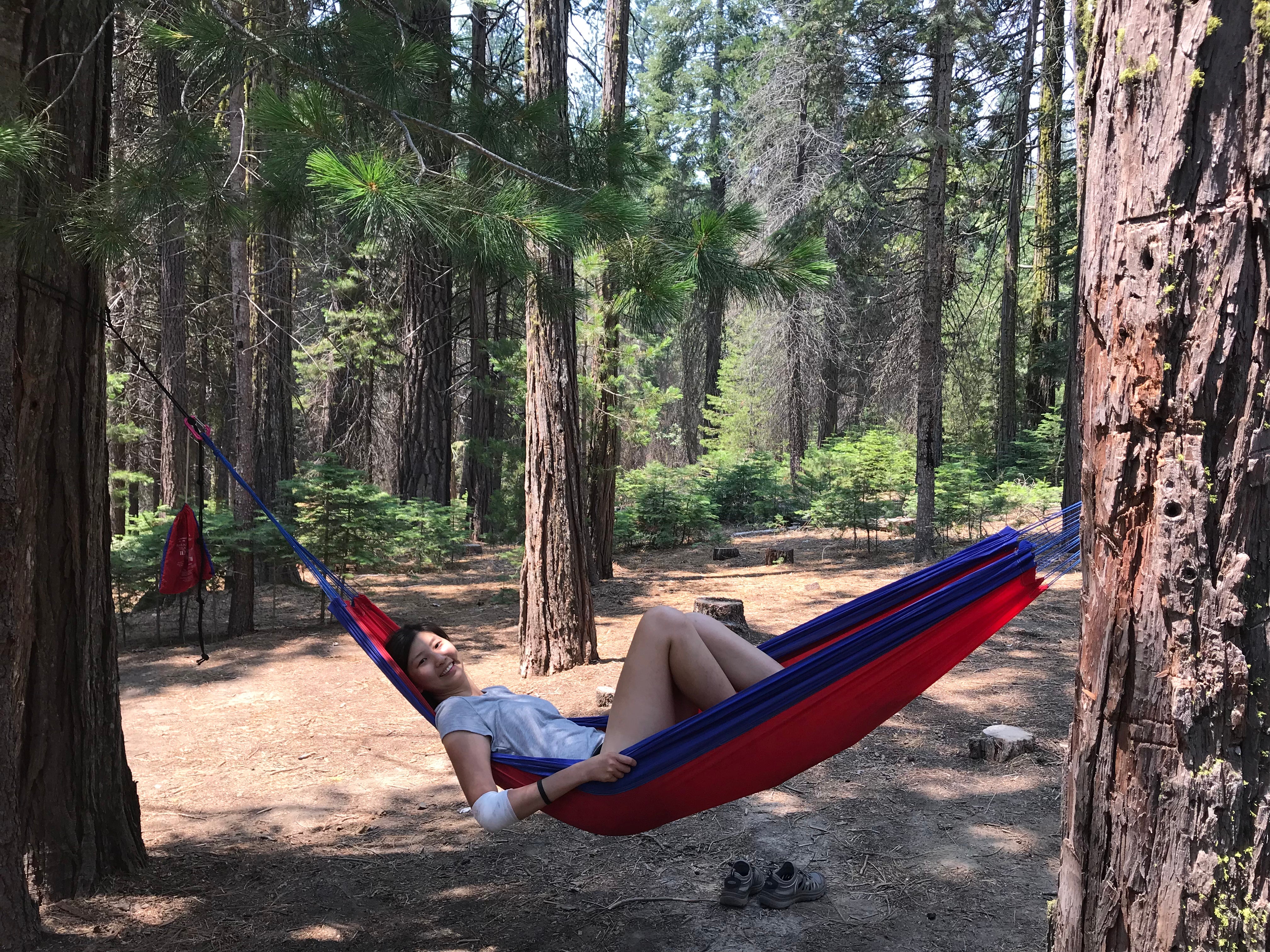 Camper submitted image from Hodgdon Meadow Campground — Yosemite National Park - 3