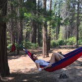 Review photo of Hodgdon Meadow Campground — Yosemite National Park by Winnie H., August 3, 2018