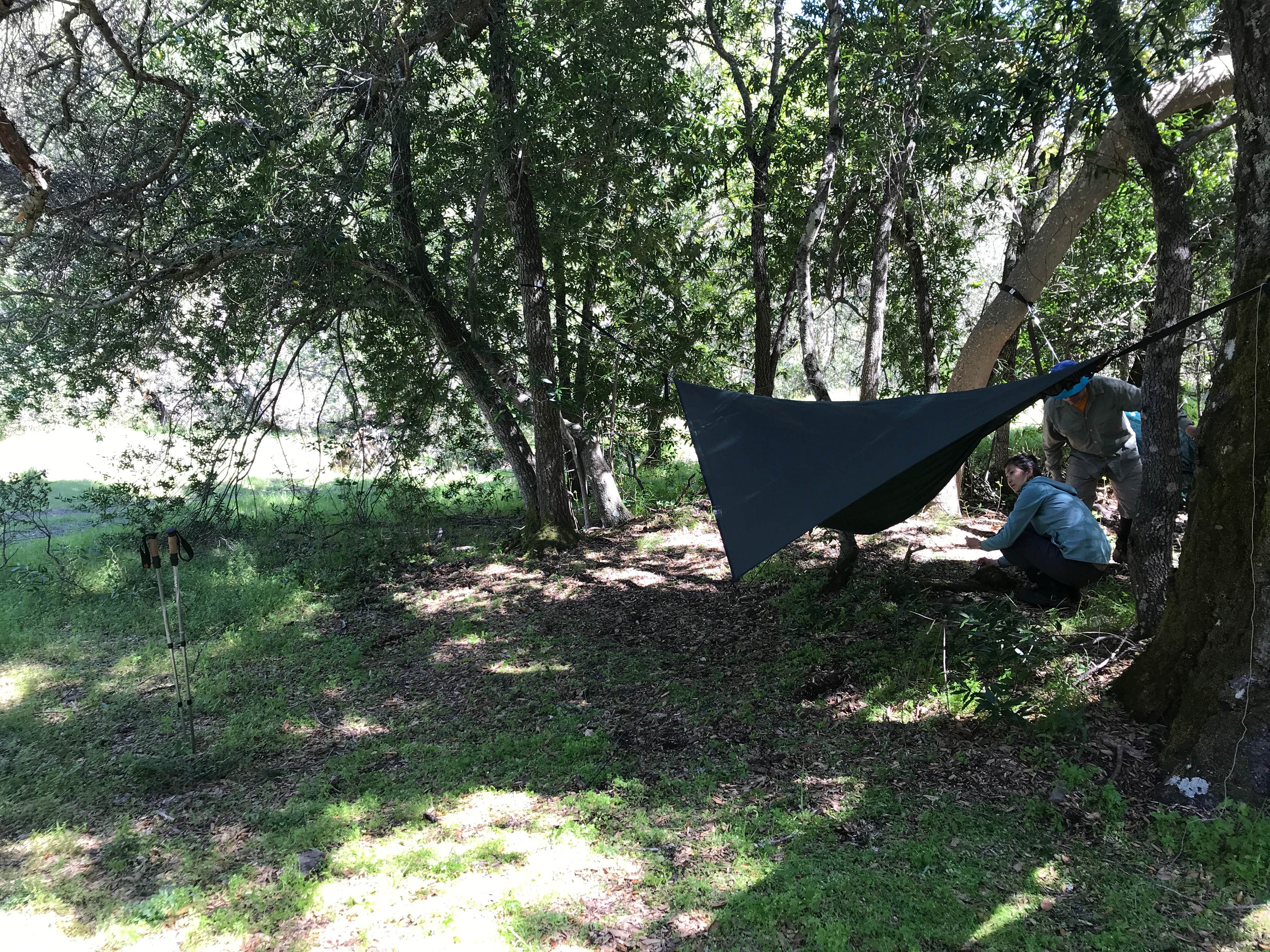 Camper submitted image from Henry Coe State Park - 5