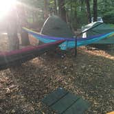 Review photo of Phoenicia Black Bear Campground by kendra P., August 3, 2018
