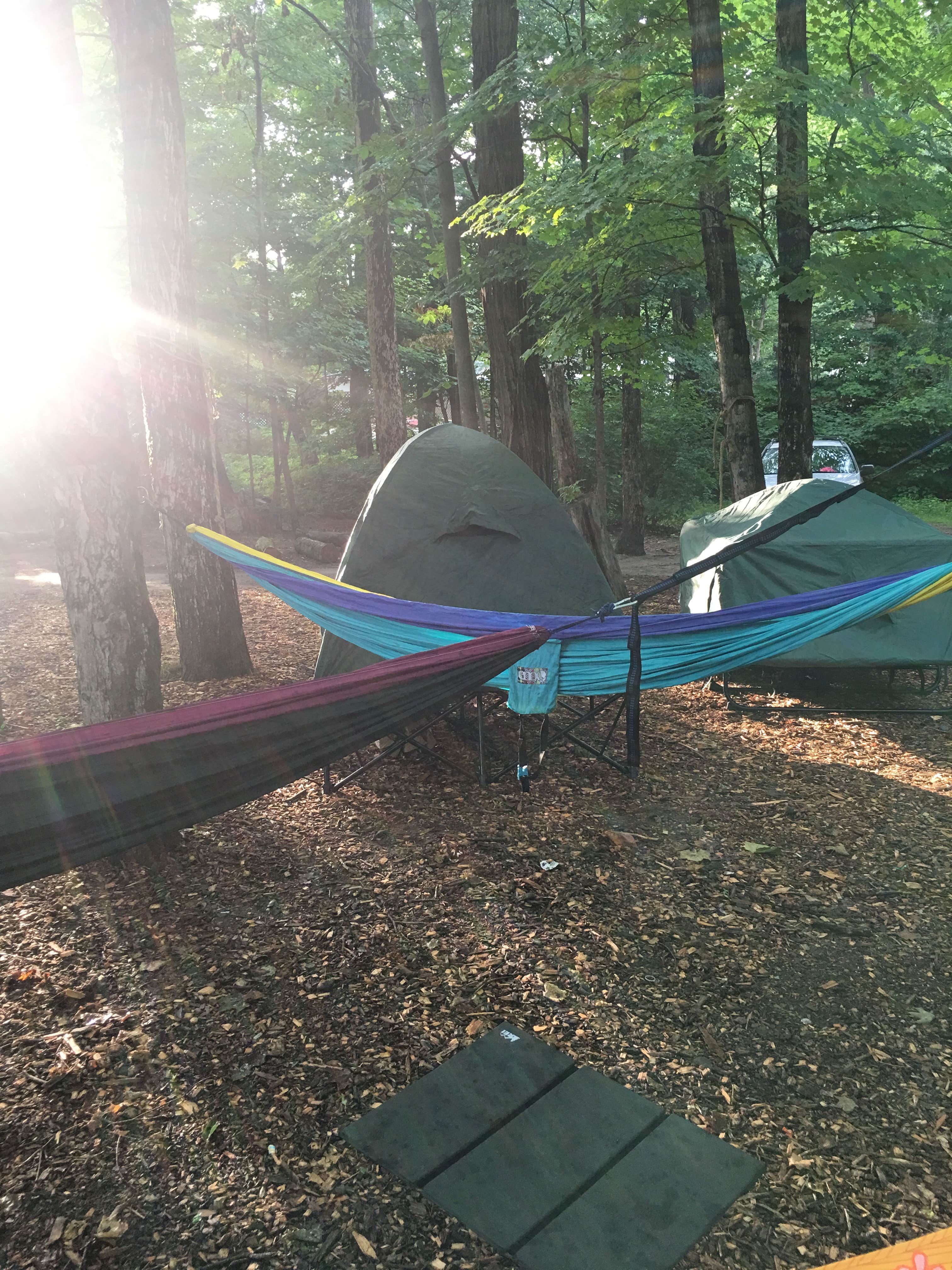 Camper submitted image from Phoenicia Black Bear Campground - 2