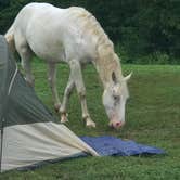 Review photo of Timbuktu Campground — Echo Bluff State Park by Sage W., August 3, 2018