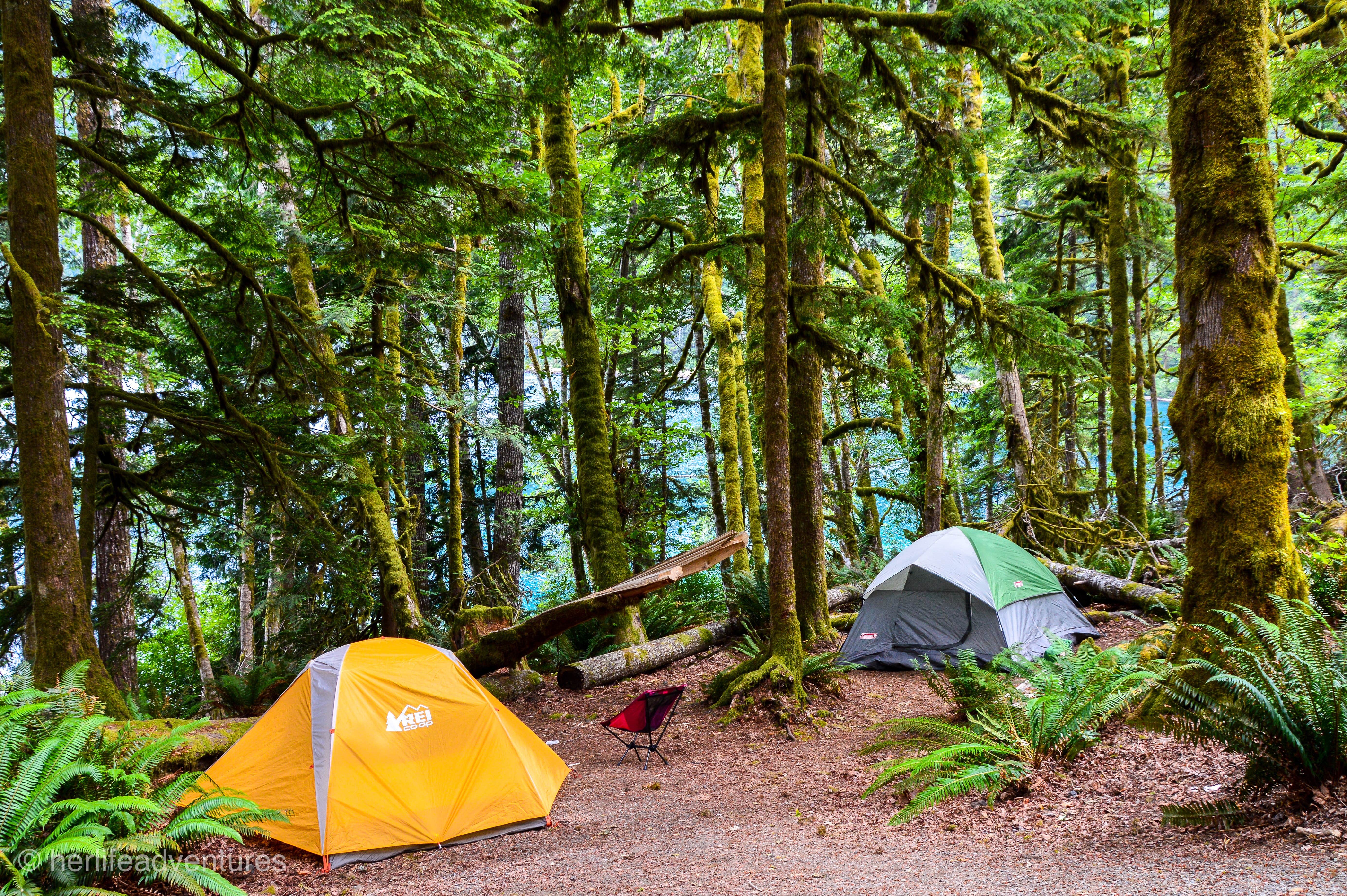 chelsea S.'s photo of tent camping at Crescent Lake Campground near Colville National Forest
