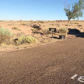 Review photo of Homolovi State Park Campground by Stacy R., August 3, 2018