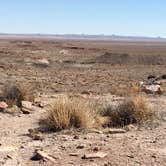 Review photo of Homolovi State Park Campground by Stacy R., August 3, 2018