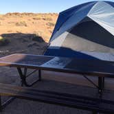 Review photo of Homolovi State Park Campground by Stacy R., August 3, 2018