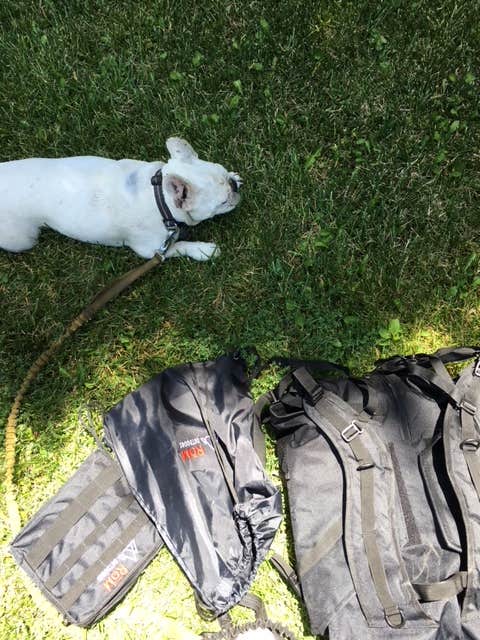 Brittany H.'s photo of camping with pets at Observatory Campground near Cleveland National Forest