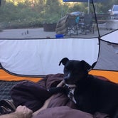Review photo of Observatory Campground by Brittany H., August 3, 2018