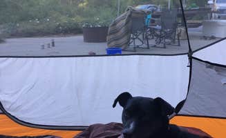 Brittany H.'s photo at Observatory Campground near Warner Springs, CA