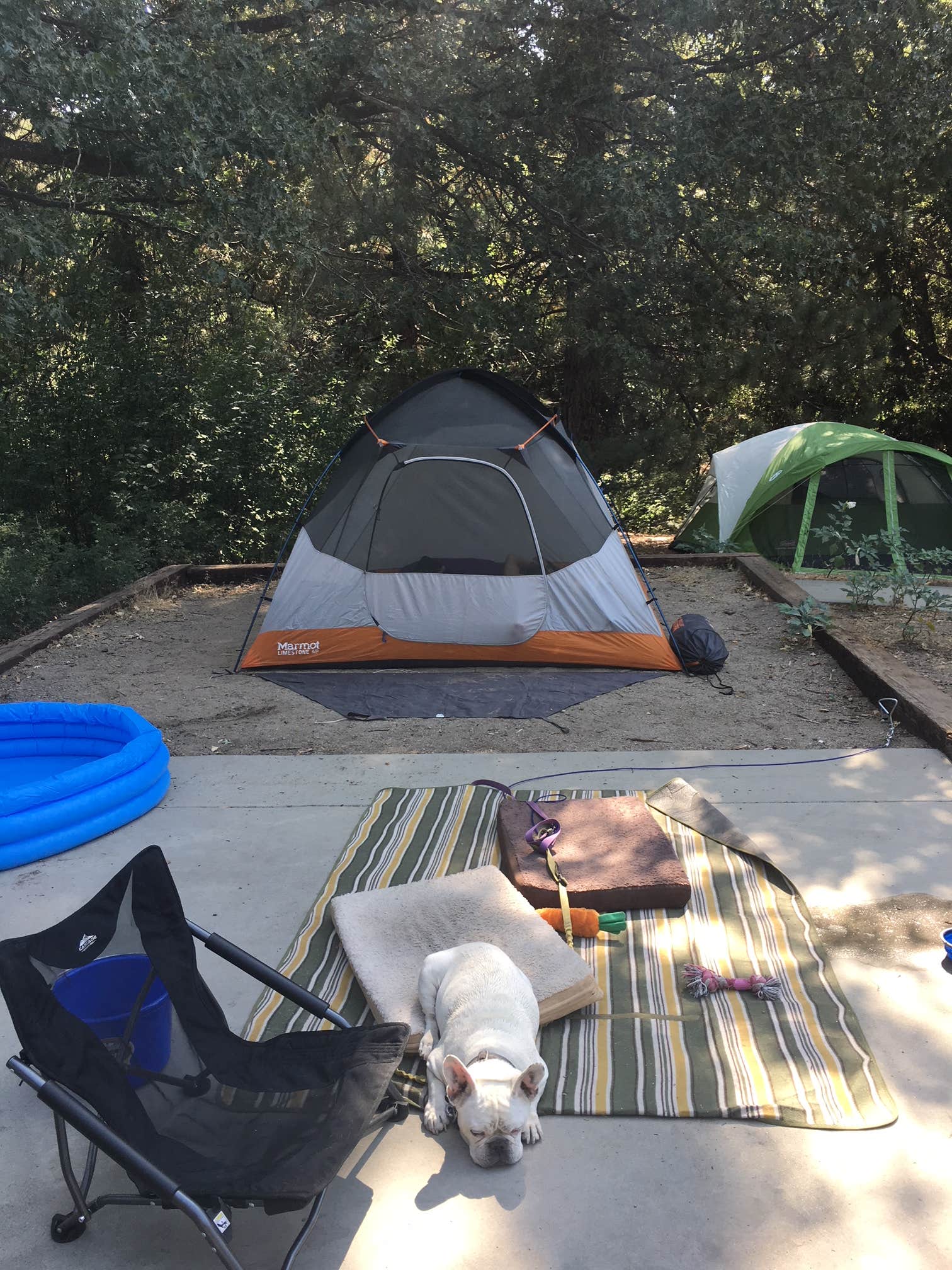 Brittany H.'s photo at Observatory Campground near Palomar Mountain, CA
