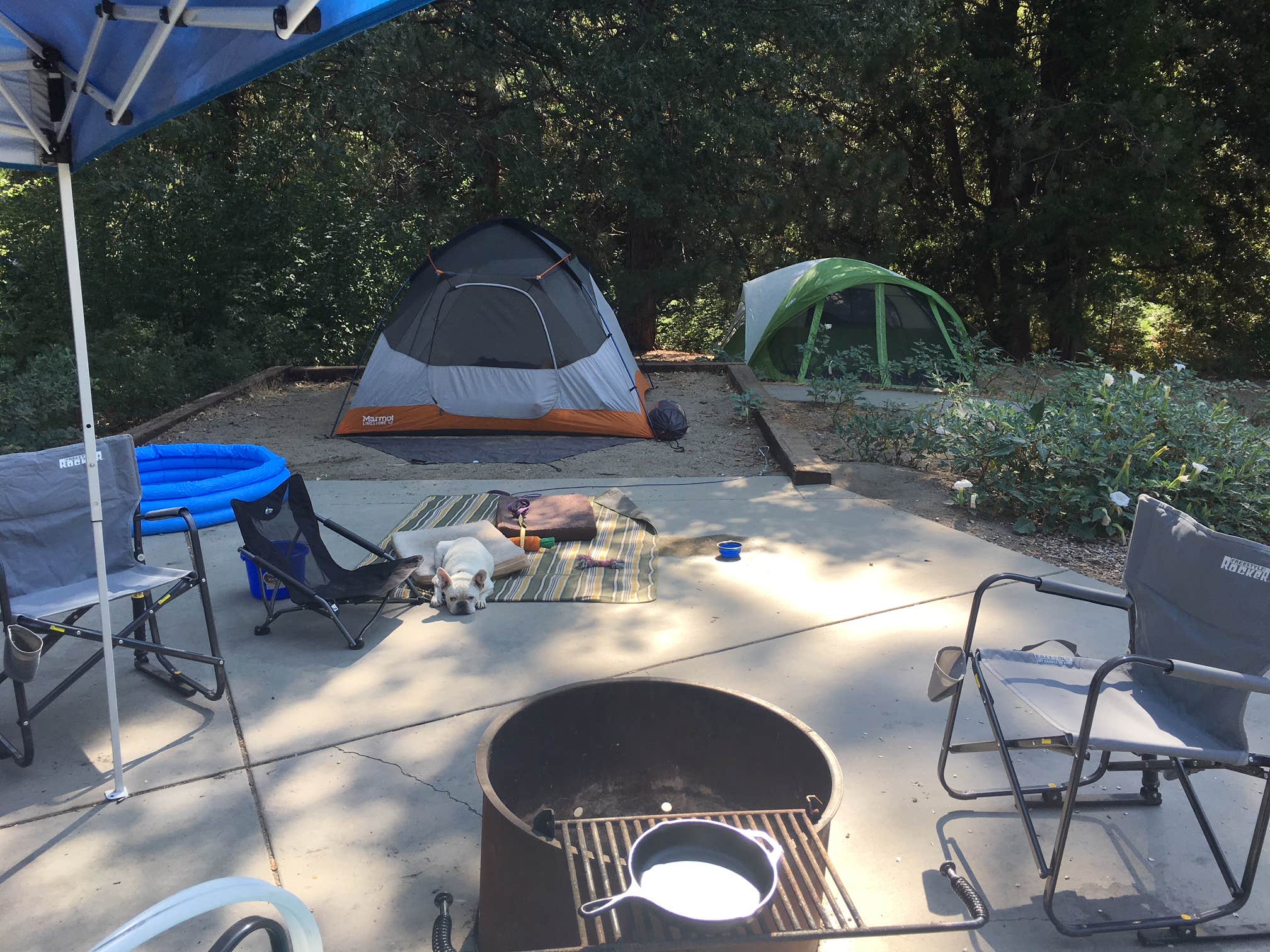 Camper submitted image from Observatory Campground - 4