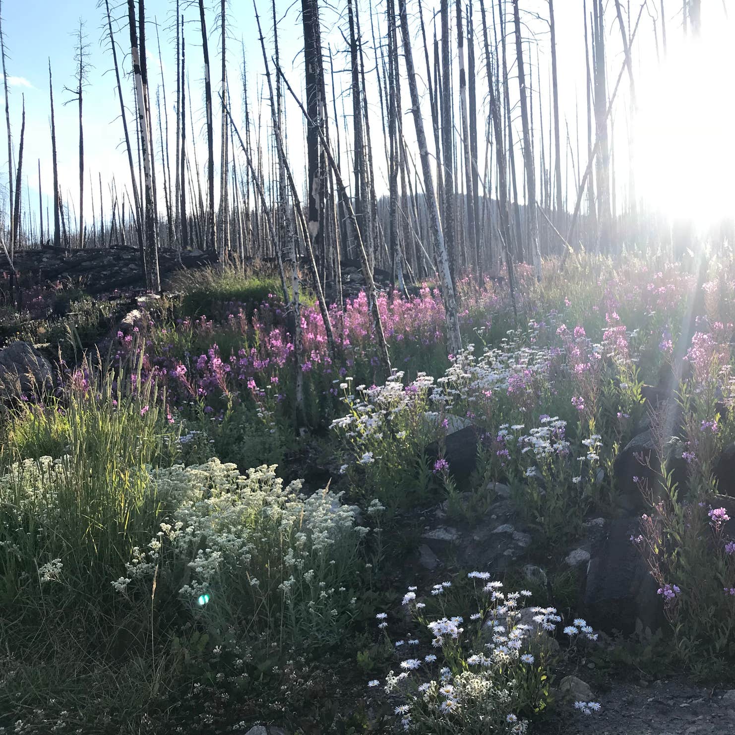 Big Creek Lakes Campground Camping | Walden, CO | The Dyrt