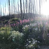 Review photo of Big Creek Lakes Campground by Sarah C., August 3, 2018