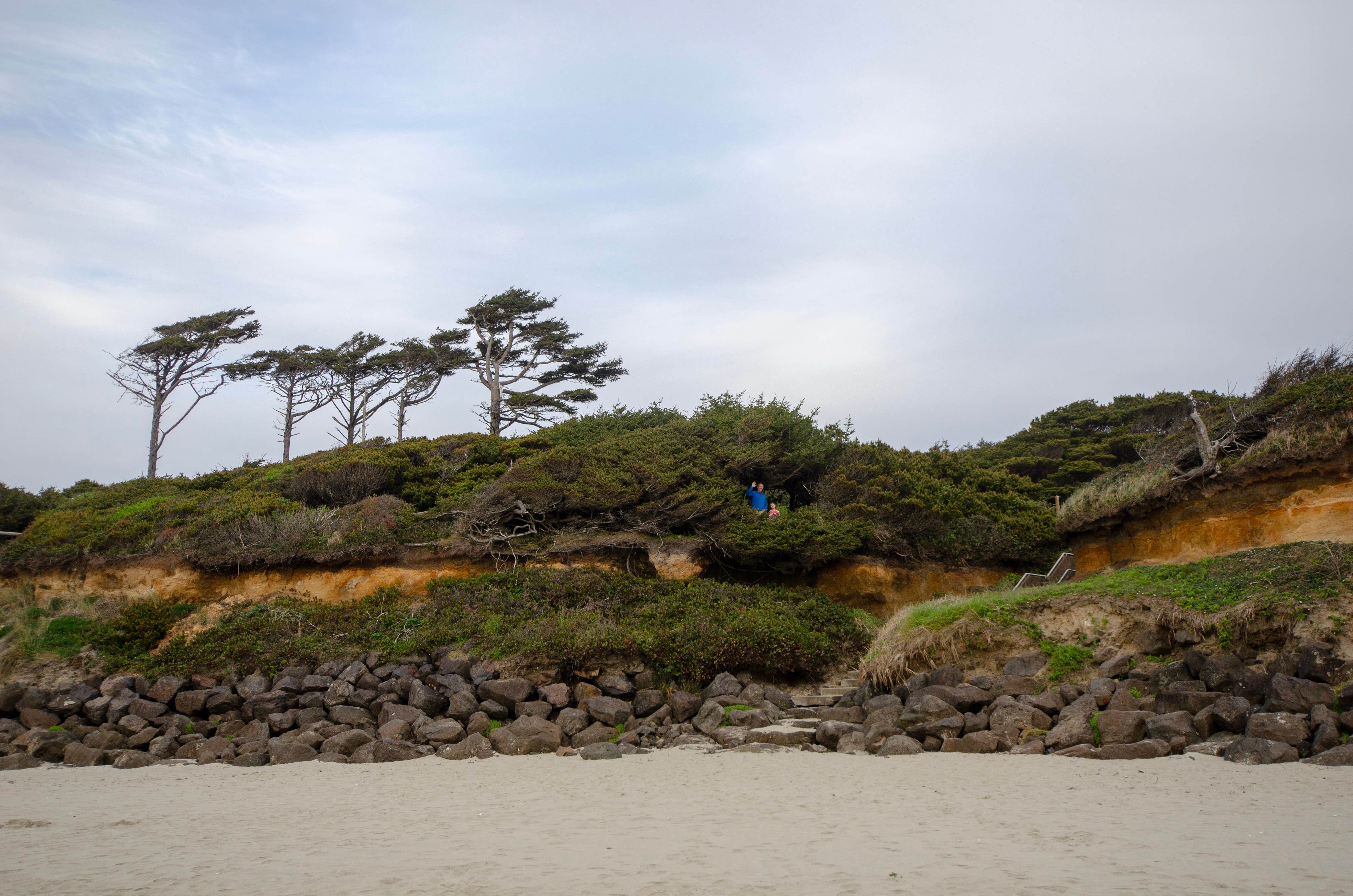 Camper-submitted photo at Tillicum Beach Campground near Blodgett, OR