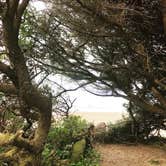 Review photo of Tillicum Beach Campground by Jill T., August 3, 2018