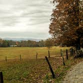 Review photo of Cades Cove Campground by Meg  S., July 1, 2015