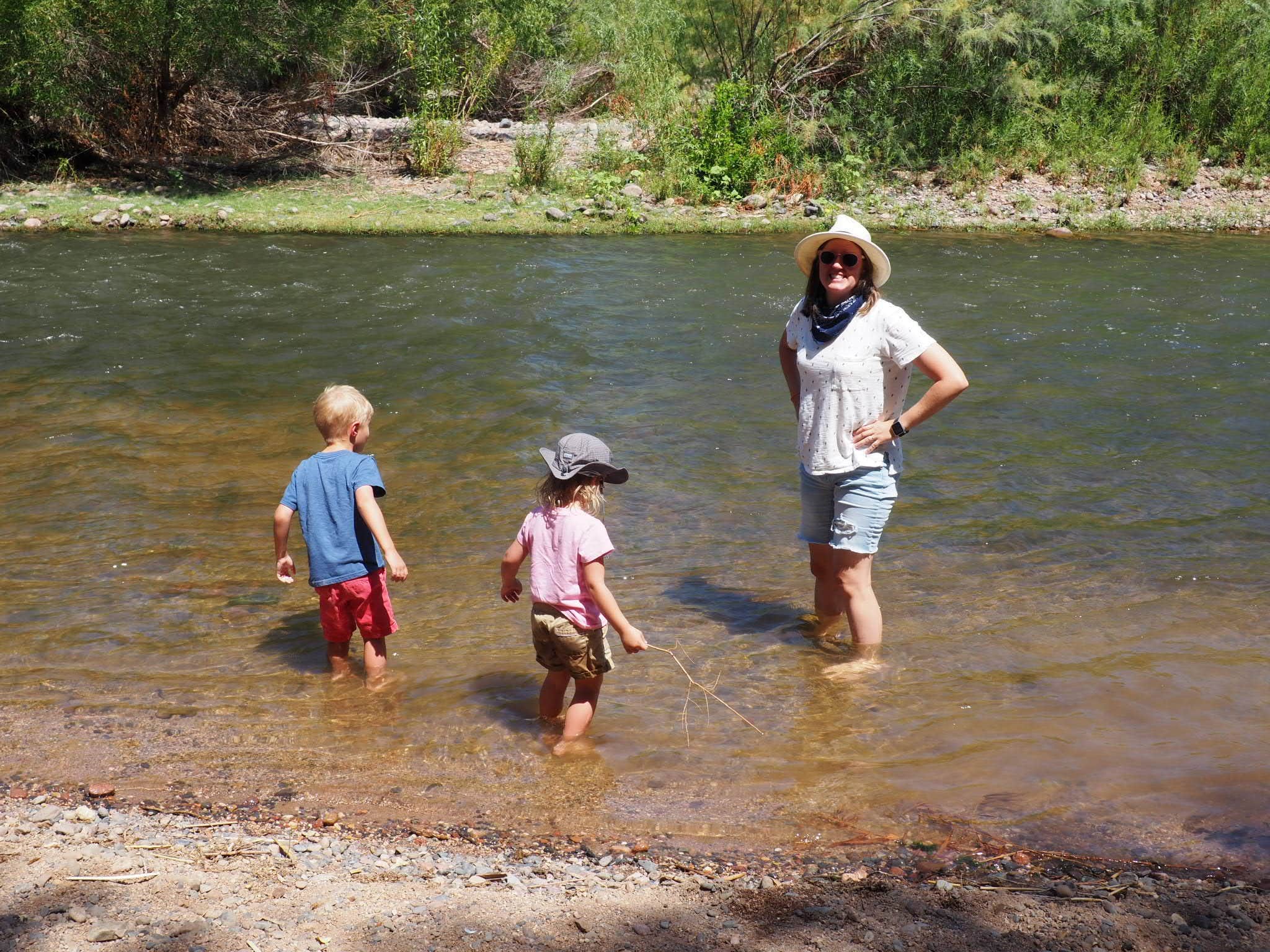 Camper submitted image from Box Bar Shoreline Area and River Access Point - 5