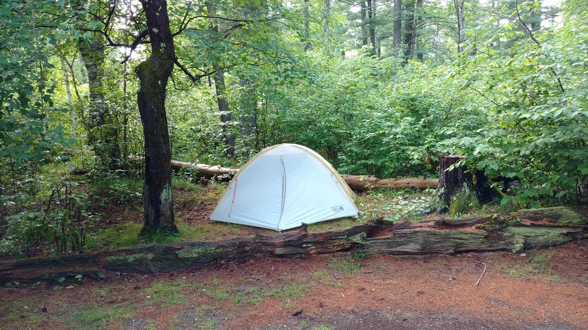Camper submitted image from Banning State Park Campground - 5