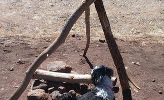 Mary P.'s photo of camping with pets at Potato Patch Campground near Prescott, AZ