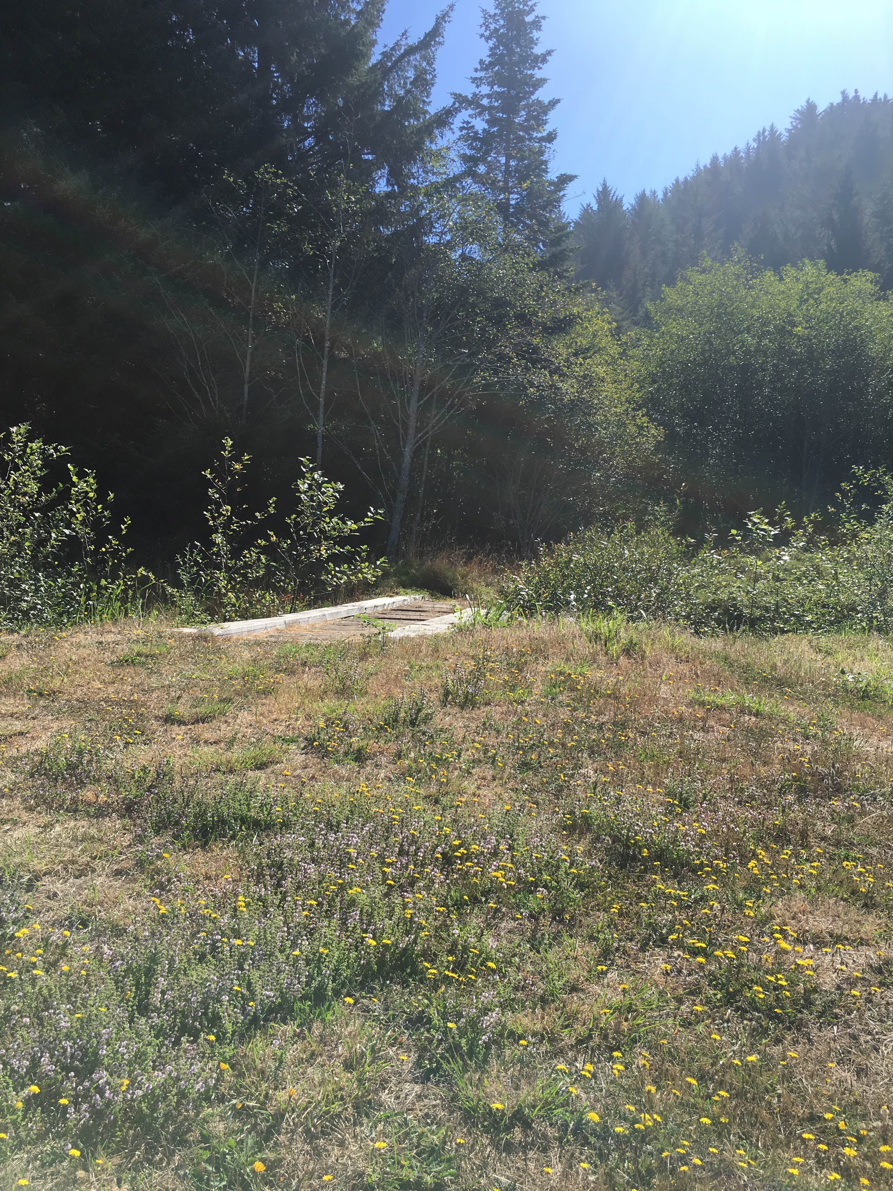 Camper-submitted photo at Honey Bear by the Sea RV Resort & Campground near Ophir, OR