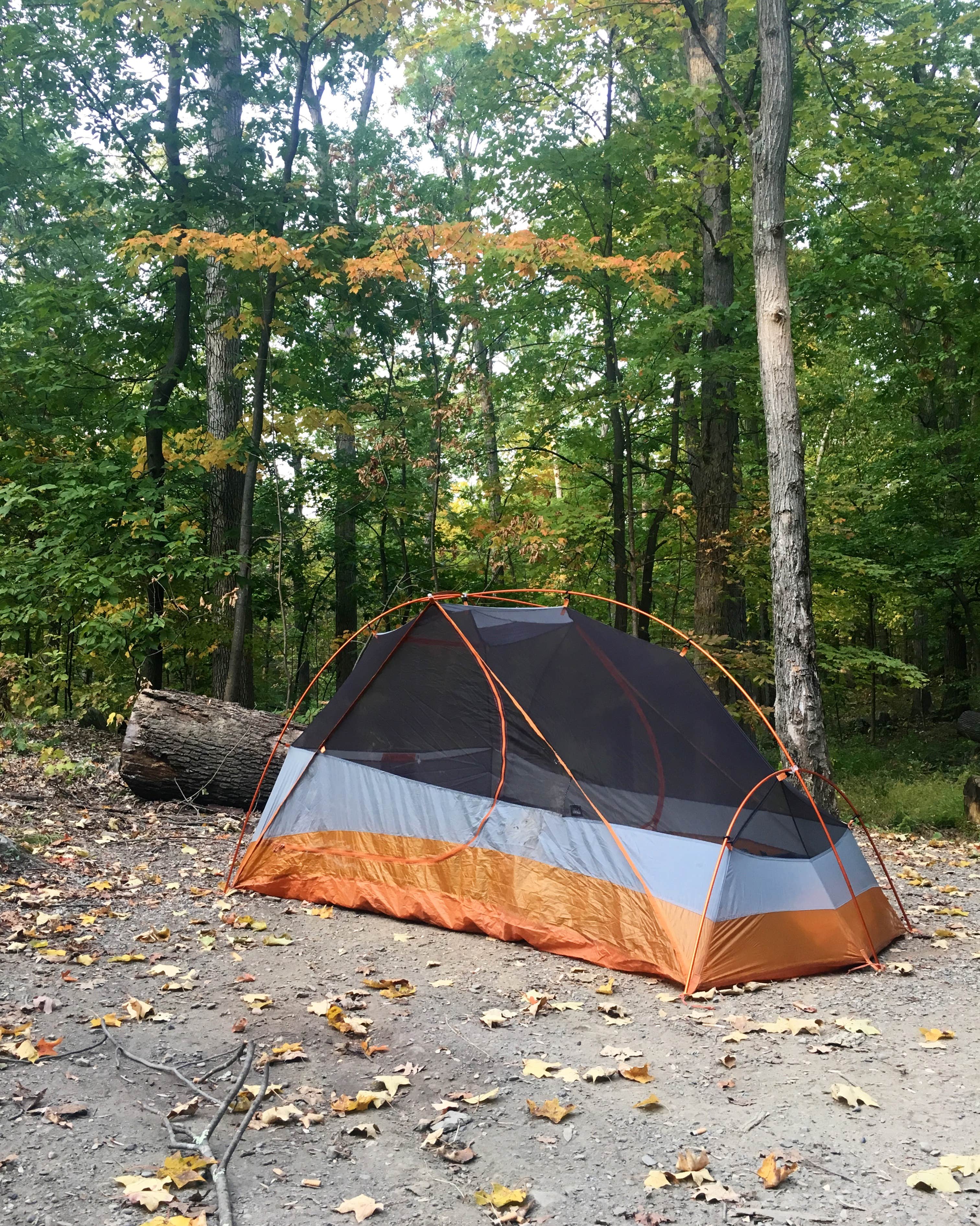 Camper submitted image from Mills Norrie State Park Campground - 5