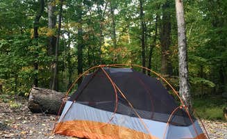 Larissa C.'s photo at Mills Norrie State Park Campground near Hurley, NY