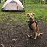 Review photo of Mills Norrie State Park Campground by Larissa C., August 3, 2018