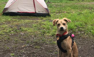 Larissa C.'s photo of camping with pets at Mills Norrie State Park Campground near Verbank, NY