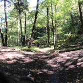 Review photo of Alander Trail Camground — Mount Washington State Forest by Liz P., August 3, 2018