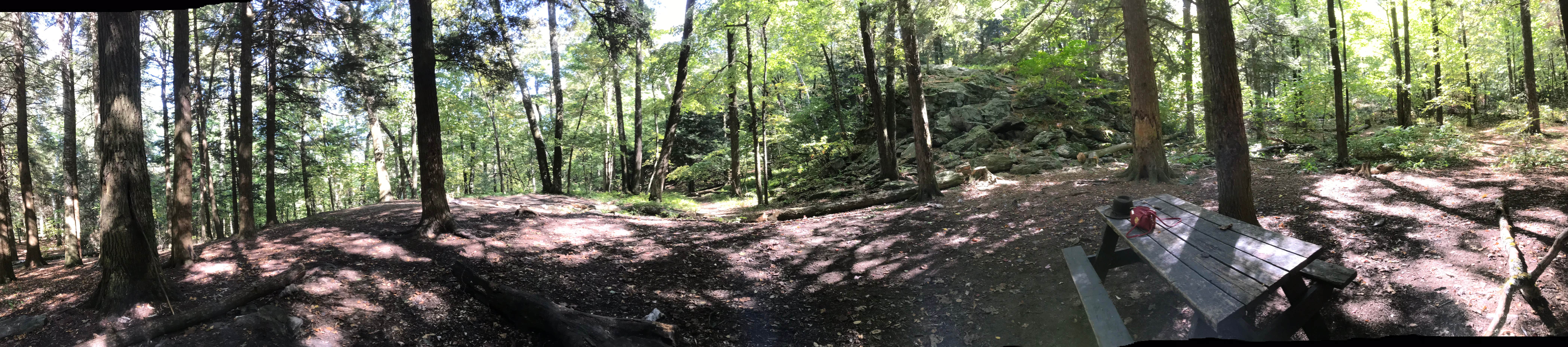 Camper submitted image from Alander Trail Camground — Mount Washington State Forest - 2