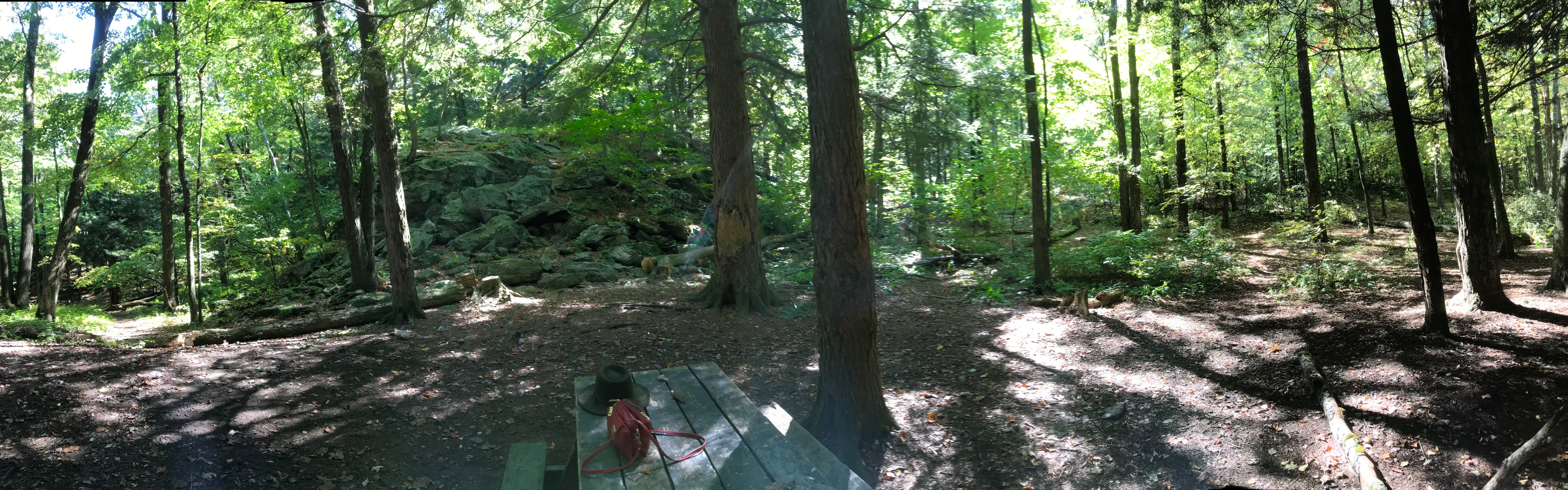 Camper-submitted photo at Alander Trail Camground — Mount Washington State Forest near Ashley Falls, MA