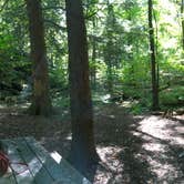 Review photo of Alander Trail Camground — Mount Washington State Forest by Liz P., August 3, 2018