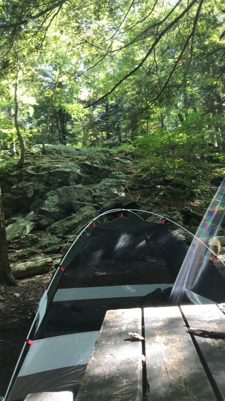 Camping near Laurel Ridge — Mount Everett State Reservation: Alander Trail Camground — Mount Washington State Forest, Mount Washington, Massachusetts