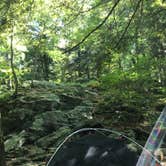 Review photo of Alander Trail Camground — Mount Washington State Forest by Liz P., August 3, 2018