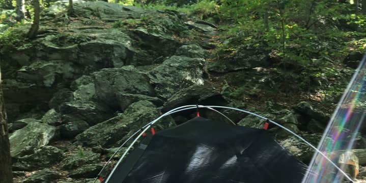 Camper submitted image from Alander Trail Camground — Mount Washington State Forest