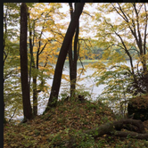 Review photo of Six Pines Campground — Backbone State Park by Larissa C., August 3, 2018