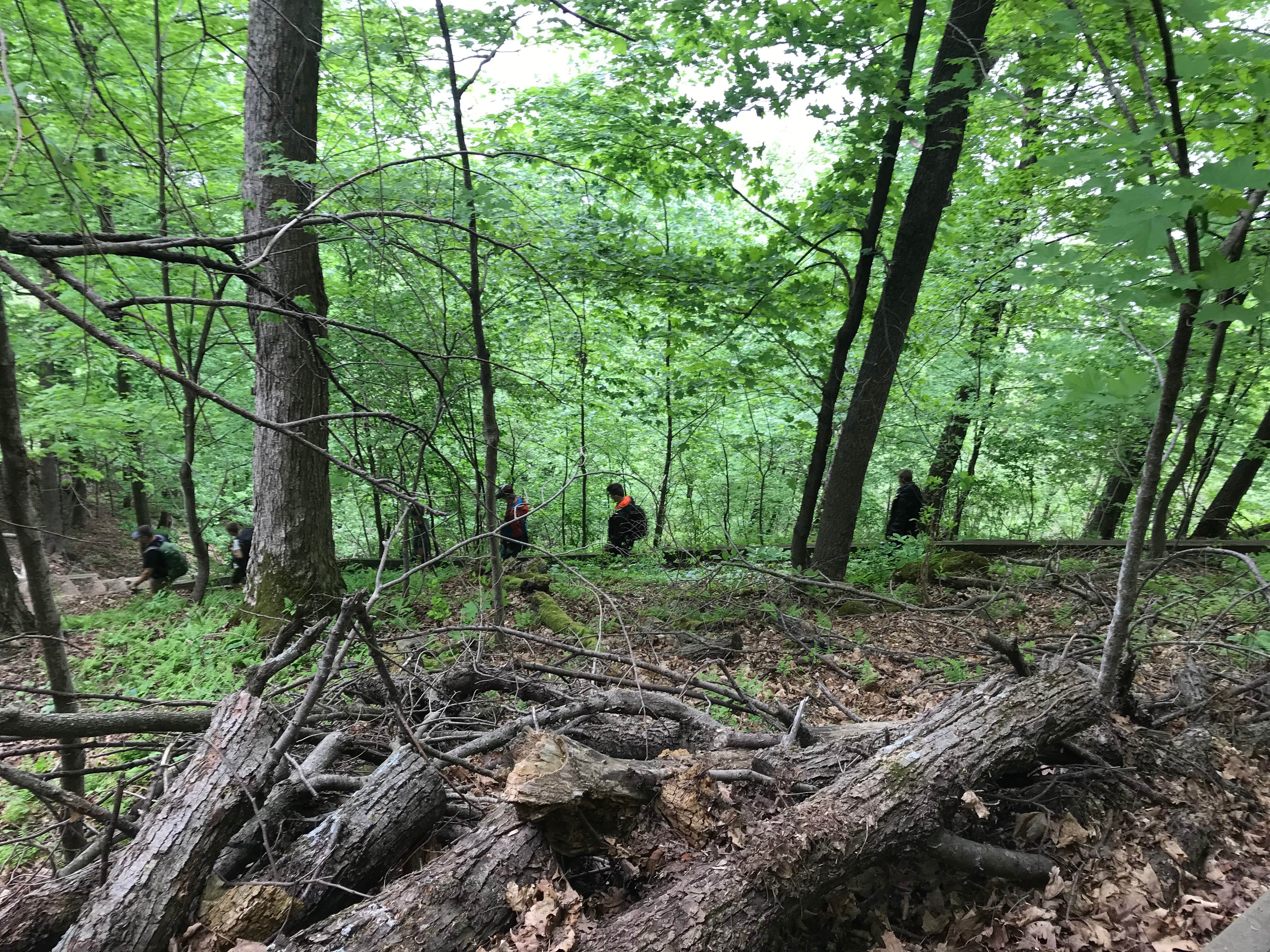 Camper-submitted photo at Frontenac State Park Campground near Alma, WI
