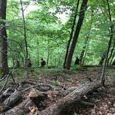 Review photo of Frontenac State Park Campground by Heidi K., August 3, 2018