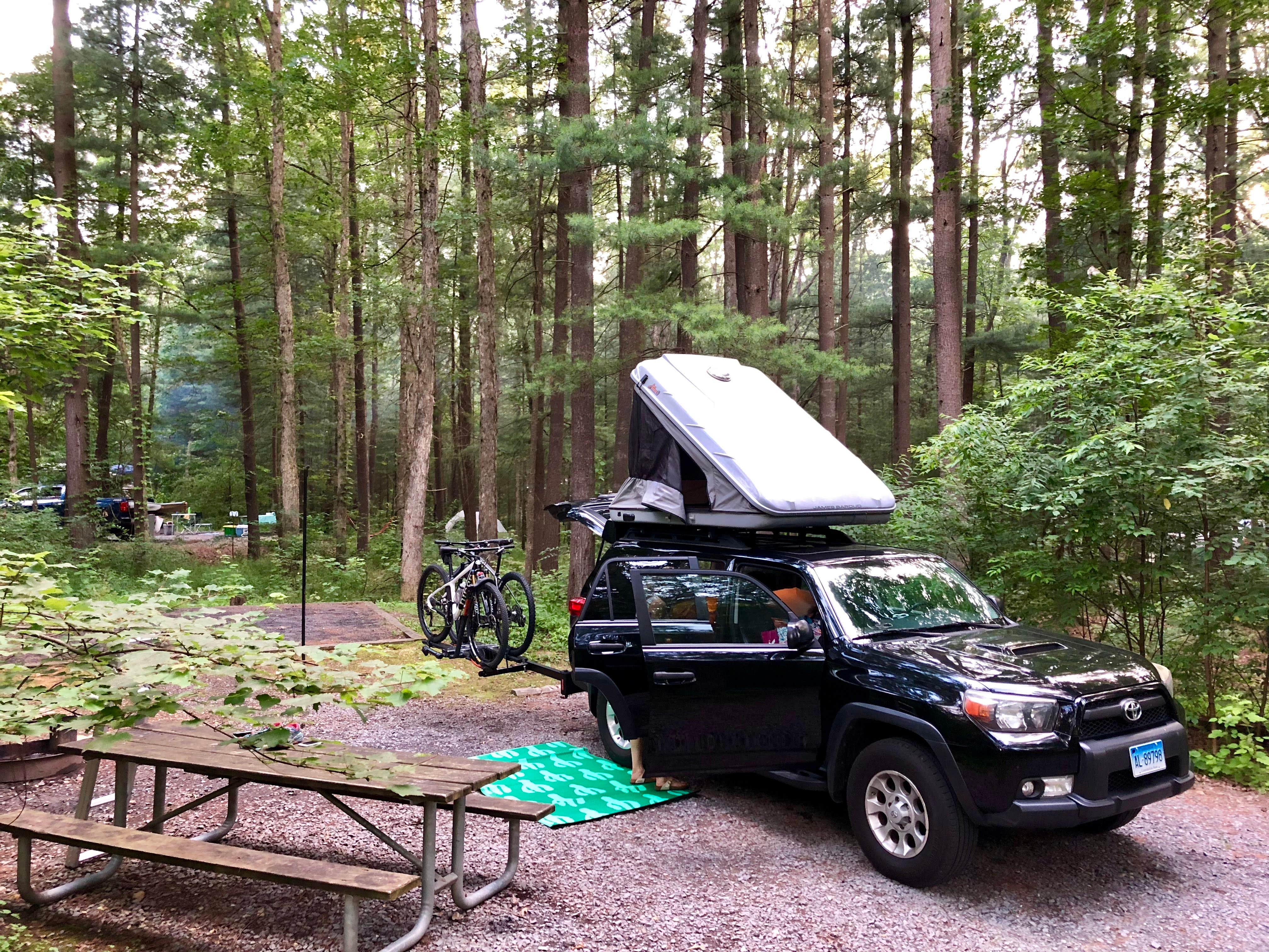 Camper submitted image from Pine Grove Furnace State Park Campground - 4