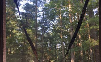 Carly E.'s photo at Pine Grove Furnace State Park Campground near Blain, PA