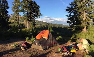 Megan D.'s photo at Park Butte Trailhead near Hamilton, WA