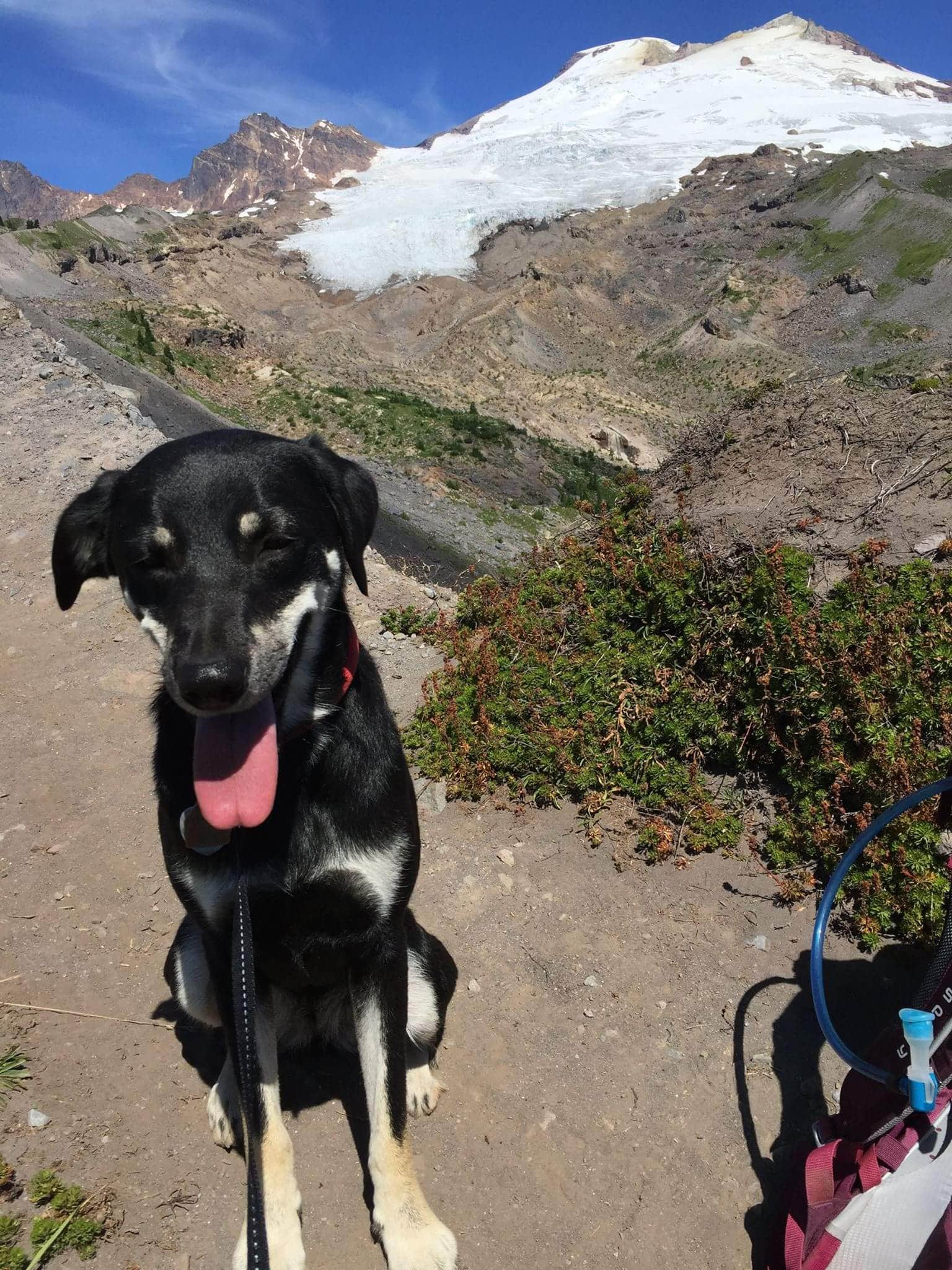Camper-submitted photo at Park Butte Trailhead near Rockport, WA