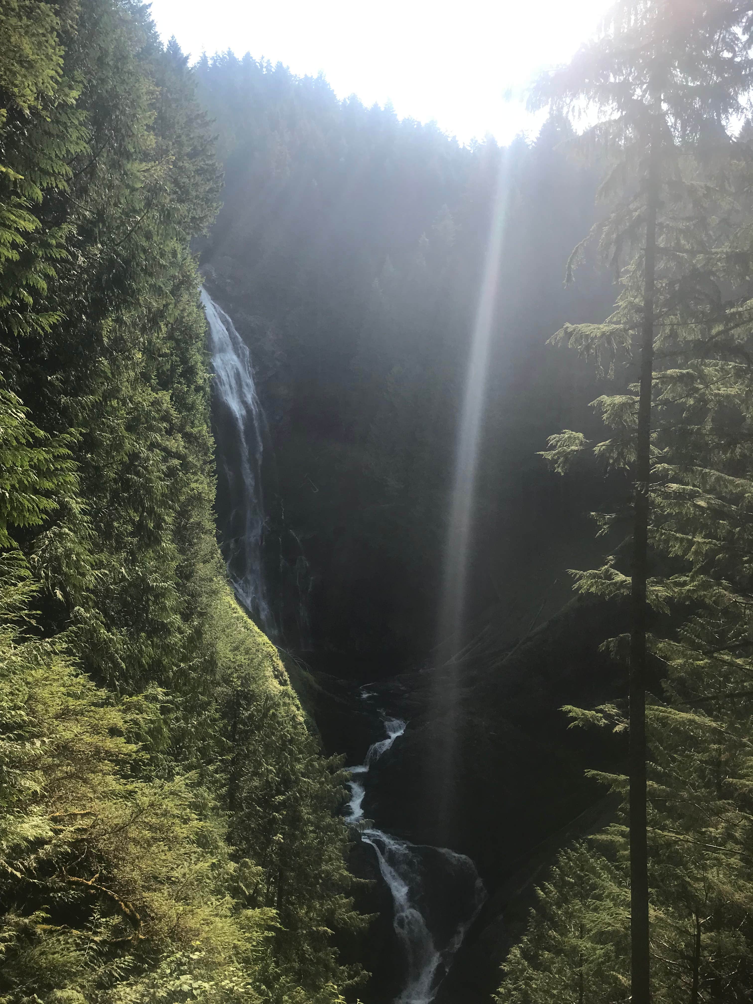 Camper-submitted photo at Wallace Falls State Park Campground near Mt. Baker-Snoqualmie National Forest