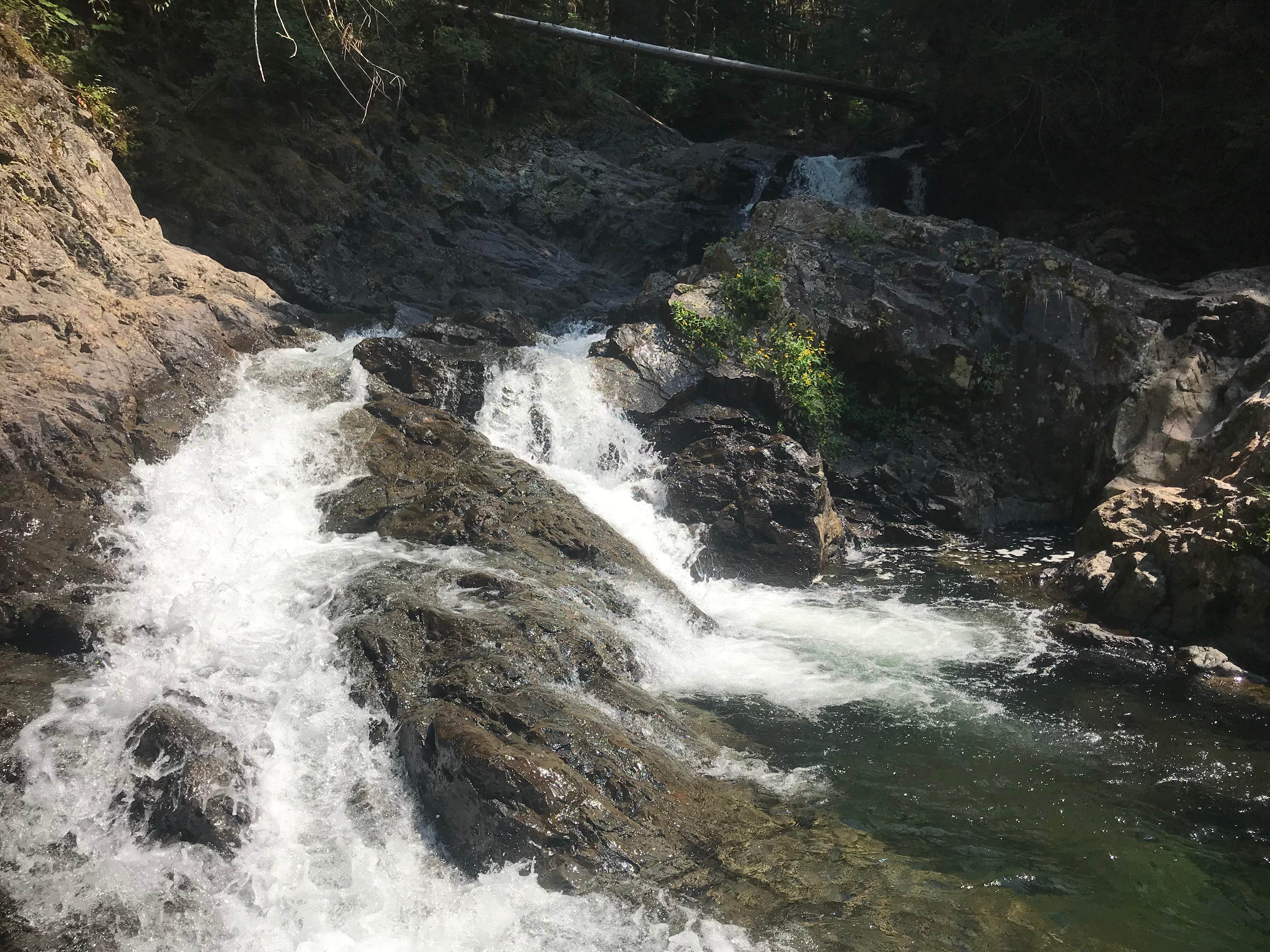 Camper submitted image from Wallace Falls State Park Campground - 1